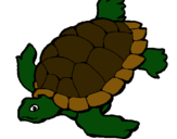 Dibujo Tortuga pintado por tartaruga