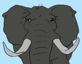 Dibujo Elefante africano pintado por gjfffhdfg