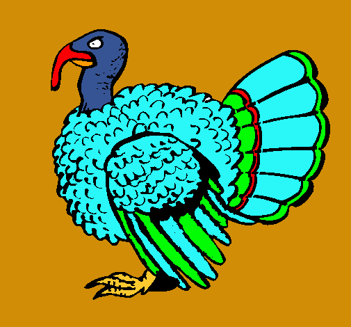 Pavo 