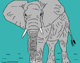 Dibujo Elefante pintado por pipitasa
