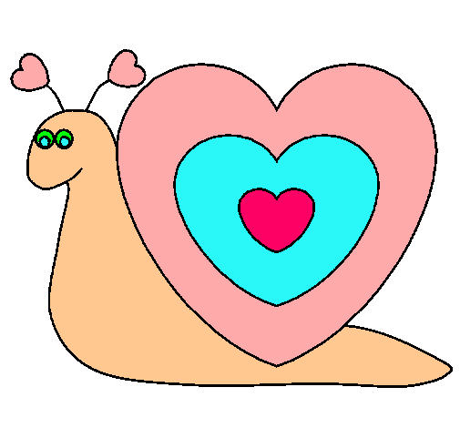 Caracol corazón