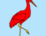 Dibujo Cigüeña pintado por ibis