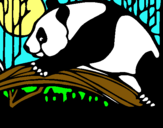 Dibujo Oso panda comiendo pintado por kizzzzzz3