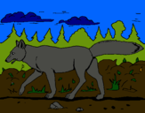 Dibujo Coyote pintado por mjjio