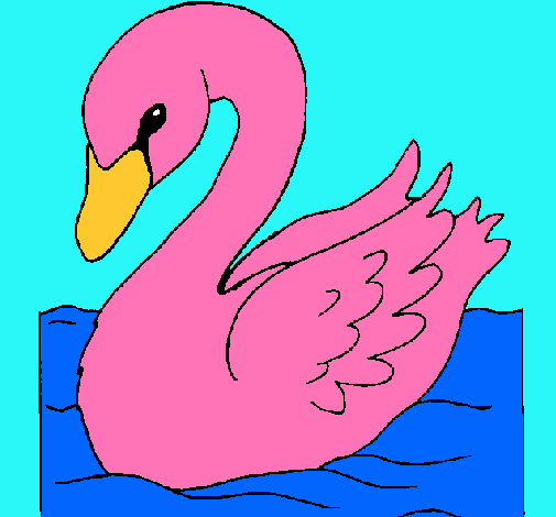 Cisne