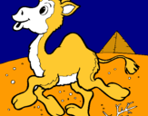 Dibujo Camello pintado por QAZXSWEDCVFR