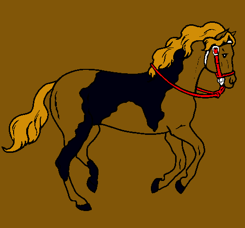 Caballo 5