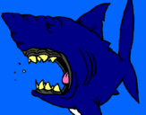 Dibujo Tiburón pintado por robertoyadri