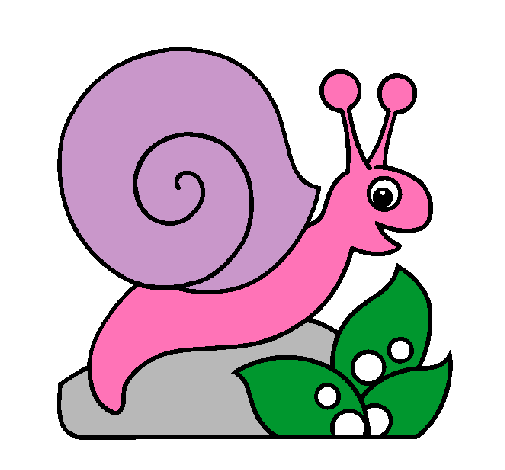 Caracol