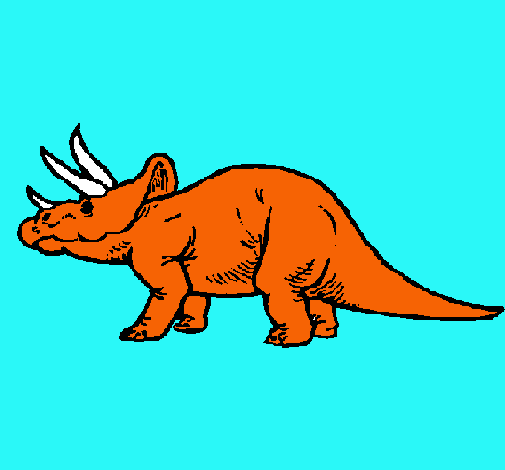 Triceratops