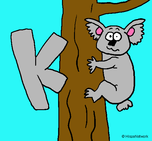 Koala