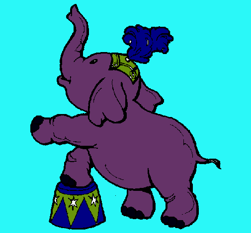 Elefante