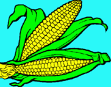 Dibujo Mazorca de maíz pintado por gted