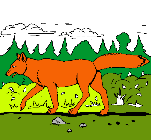 Dibujo Coyote pintado por ALE2004