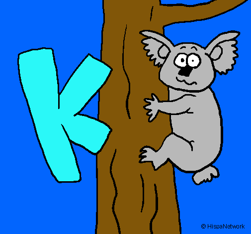 Koala