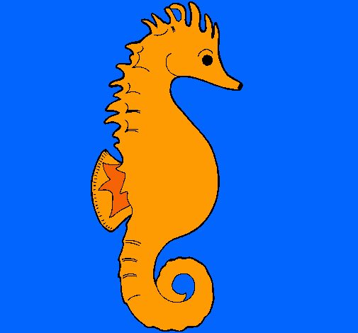 Caballito de mar