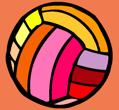 Pelota de voleibol