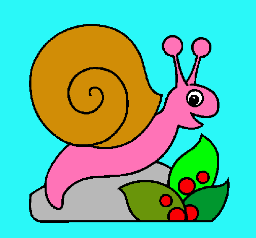 Caracol