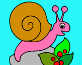 Dibujo Caracol pintado por cochefruti