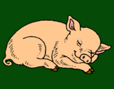 Dibujo Cerdo durmiendo pintado por mane-25