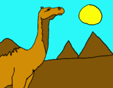 Dibujo Camello pintado por kiliands