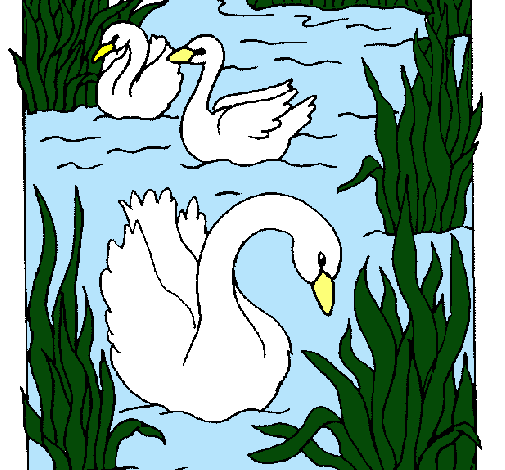 Cisnes