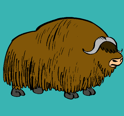 Bisonte