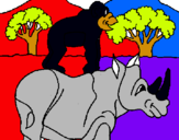 Dibujo Rinoceronte y mono pintado por xabi