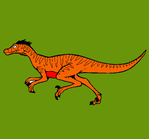 Velociraptor