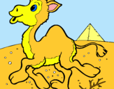 Dibujo Camello pintado por 0412584693fe