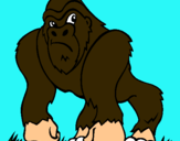 Dibujo Gorila pintado por vicentea