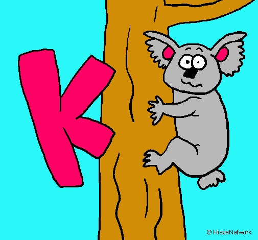 Koala