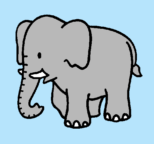 Elefante bebe