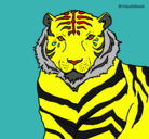Dibujo Tigre pintado por tijr