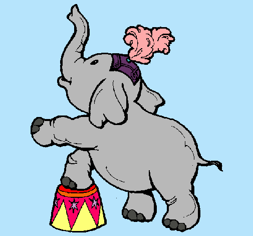 Elefante