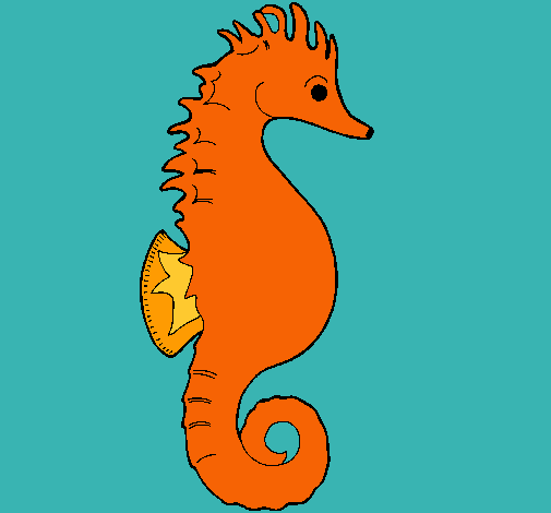 Caballito de mar