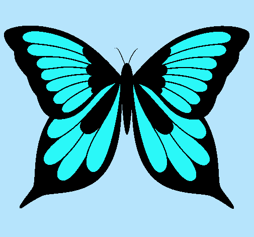 Mariposa