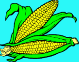 Dibujo Mazorca de maíz pintado por gdhfg