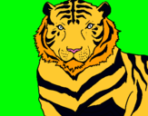 Dibujo Tigre pintado por Namolito