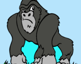 Dibujo Gorila pintado por kizzzzzzzzz2