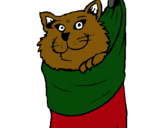 Dibujo Gato dentro de una calcetín pintado por YOVANI
