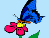 Dibujo Mariposa en una flor pintado por wingi