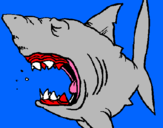 Dibujo Tiburón pintado por atacador