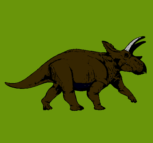 Triceratops