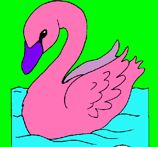 Cisne