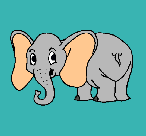 Elefante pequeño