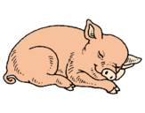 Dibujo Cerdo durmiendo pintado por dhdh