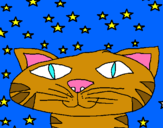 Dibujo Gato y estrellas pintado por isabel2001