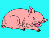 Dibujo Cerdo durmiendo pintado por fklchnnnnnnx