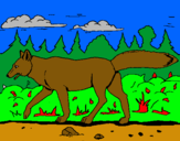 Dibujo Coyote pintado por jimenalisss